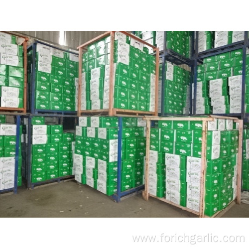 Normal White Garlic Crop 2019 From Jinxiang